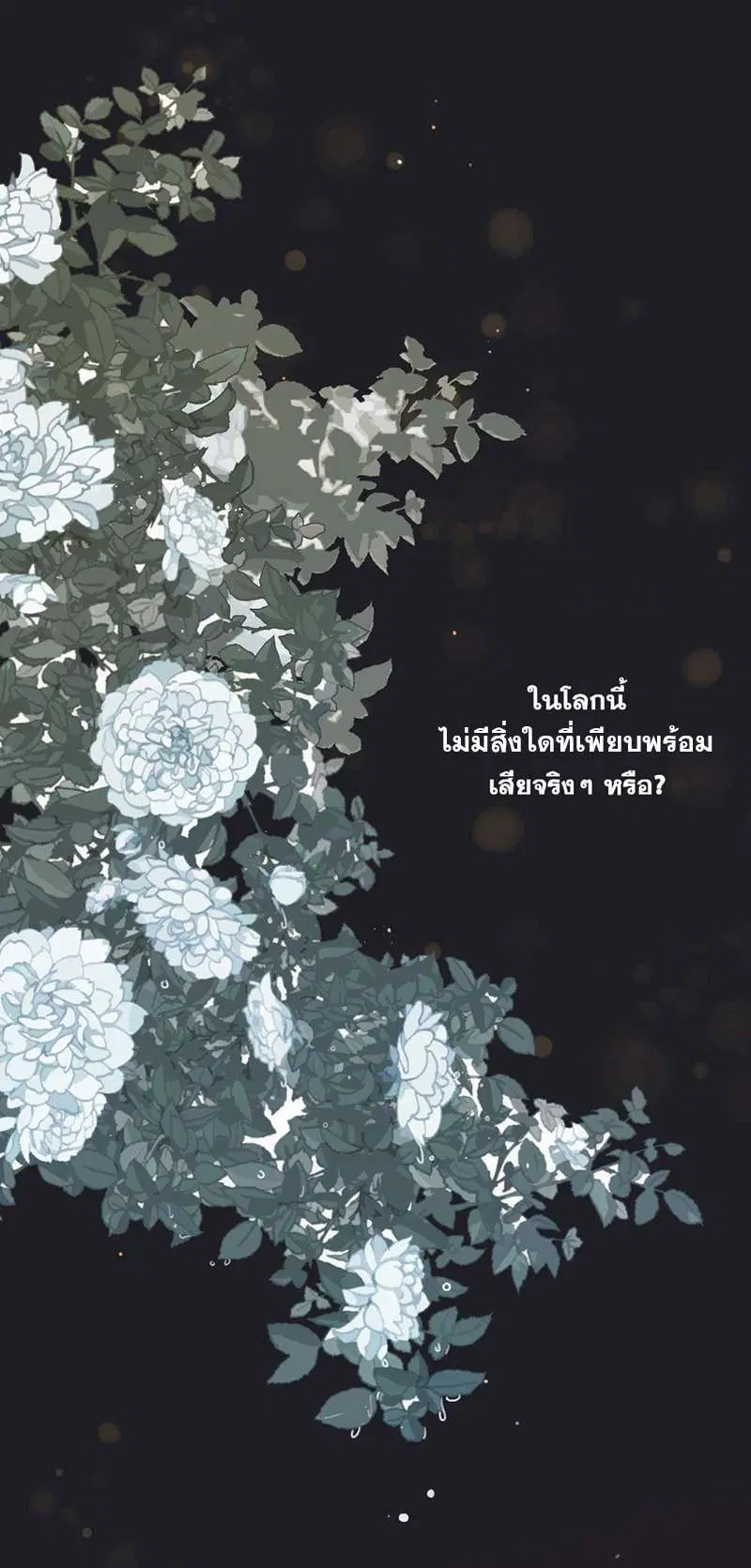 ชายาใบ้ ตอนที่ 0 หน้า 1