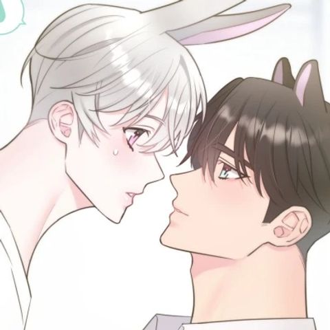 ปก พี่กระต่ายที่รัก มังงะเกาหลี แปลไทย