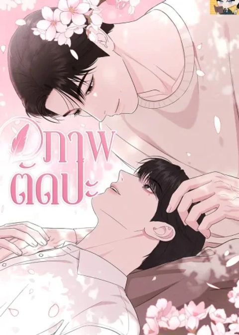 ปก ภาพตัดปะ มังงะเกาหลี แปลไทย