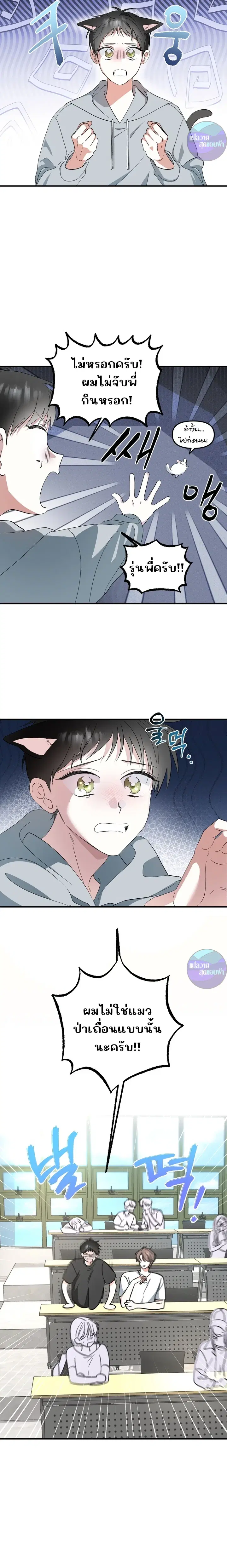 รักต้องห้ามของ นายแมว&คุณหนู ตอนที่ 1 หน้า 2