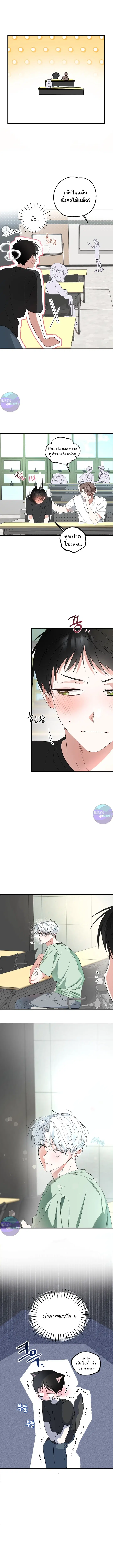 รักต้องห้ามของ นายแมว&คุณหนู ตอนที่ 1 หน้า 3