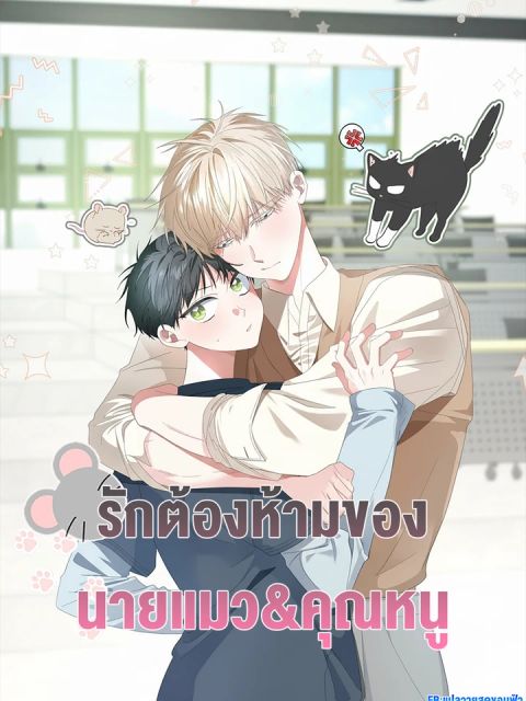 ปก รักต้องห้ามของ นายแมว&คุณหนู มังงะเกาหลี แปลไทย