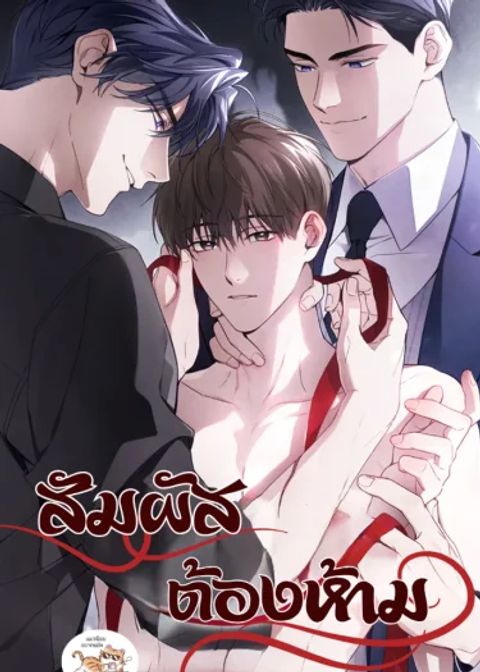 ปก สัมผัสต้องห้าม มังงะเกาหลี แปลไทย