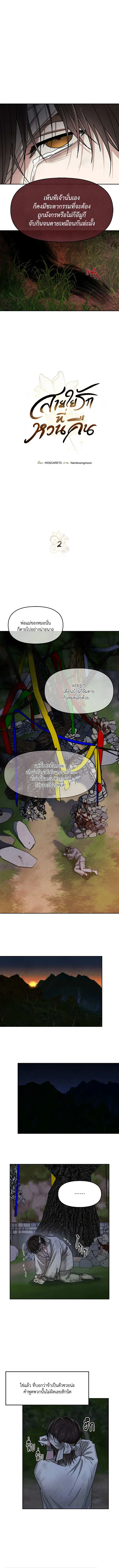 สายใยรักที่หวนคืน ตอนที่ 2 หน้า 2
