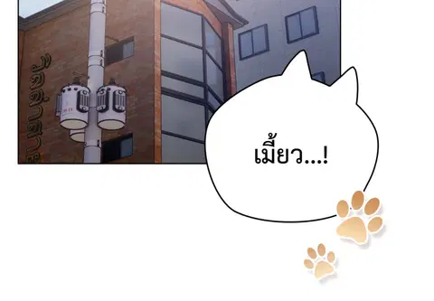 เจ้าเหมียวพารักมาให้ถึงหน้าประตู ตอนที่ 18 หน้า 3