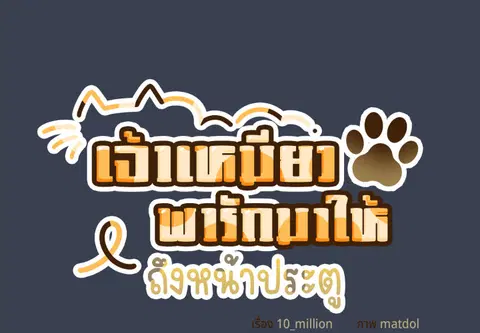 เจ้าเหมียวพารักมาให้ถึงหน้าประตู ตอนที่ 48 หน้า 2