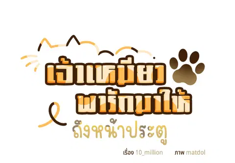 เจ้าเหมียวพารักมาให้ถึงหน้าประตู ตอนที่ 50 หน้า 2