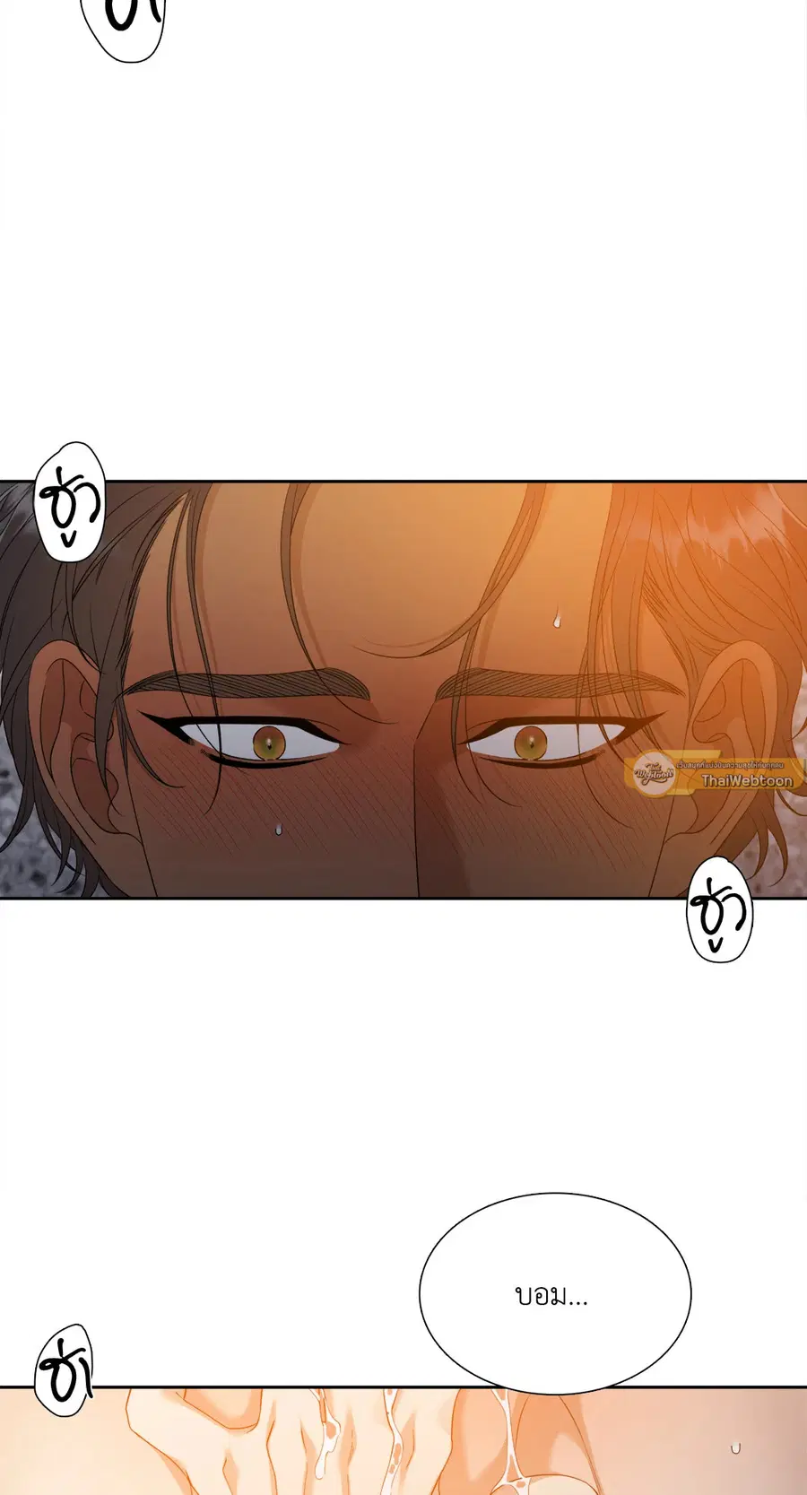 เนตรเปี่ยมพยัคฆ์ | Taming the Tiger (+R) ตอนที่ 70.06 หน้า 3