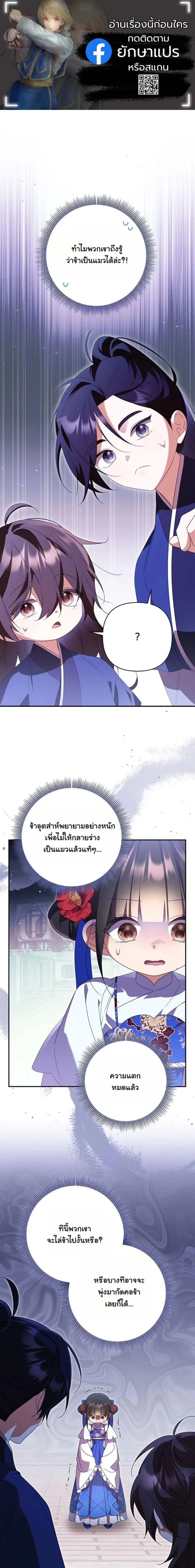 A Baby Cat Who Commands the Dog Clan ตอนที่ 14 หน้า 1