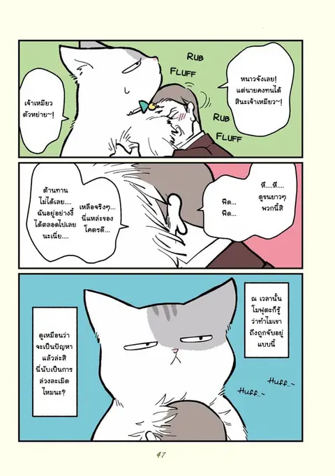 A Black Company's Employee Became a Cat, a Life-Changing Story ตอนที่ 5 หน้า 2