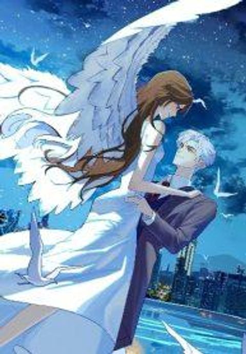 ปก A feather in my heart มังงะจีน แปลไทย
