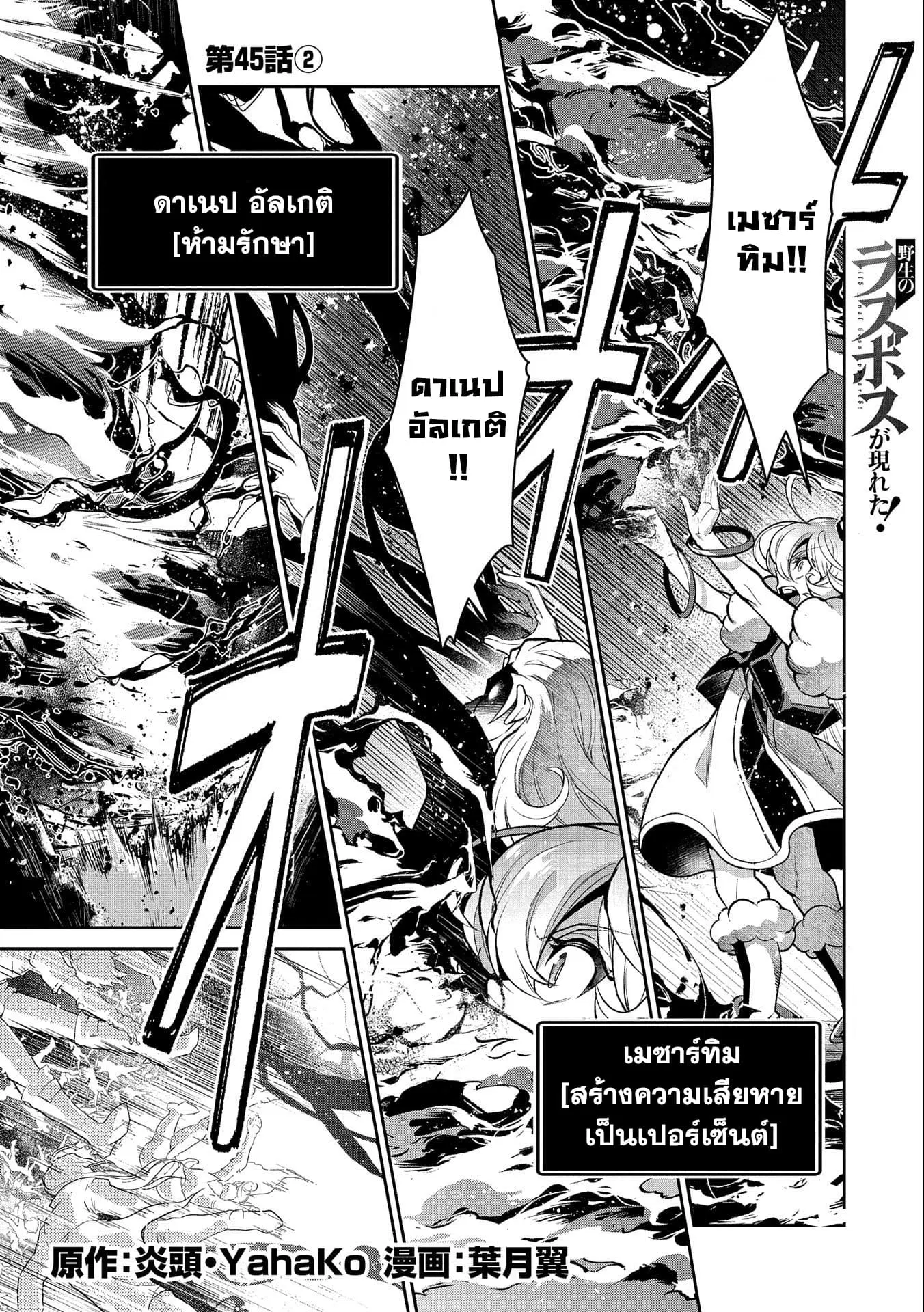 A Wild Last Boss Appeared! ตอนที่ 45.2 หน้า 2