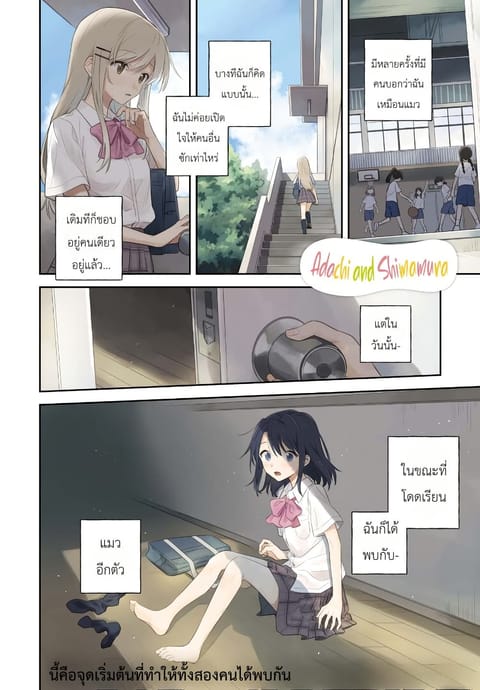 ปก Adachi to Shimamura (Yuzuhara Moke) มังงะญี่ปุ่น แปลไทย