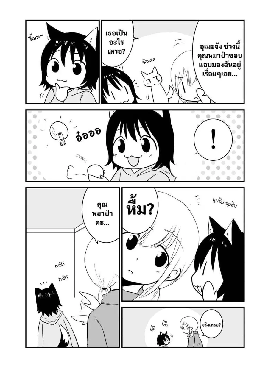 Akazukin ni Taberareta Oukami ตอนที่ 7 หน้า 3