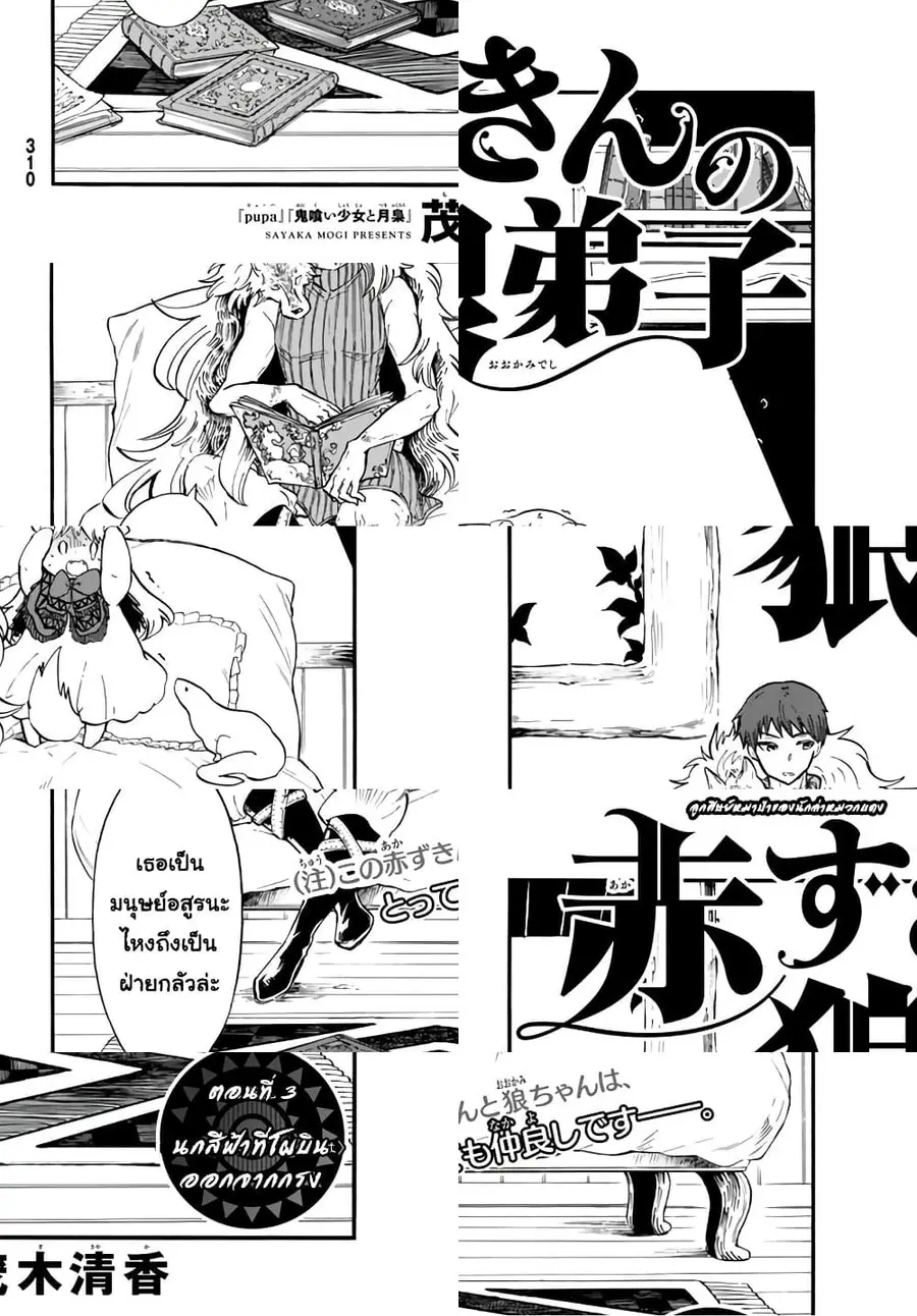 Akazukin no Okami Deshi ลูกศิษย์หมาป่าของนักล่าหมวกแดง ตอนที่ 3 หน้า 2