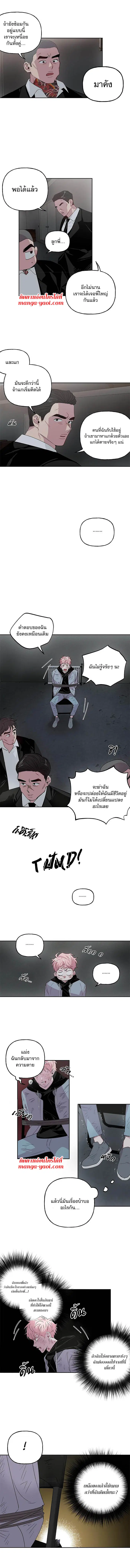 Assorted Wildness ตอนที่ 2 หน้า 3