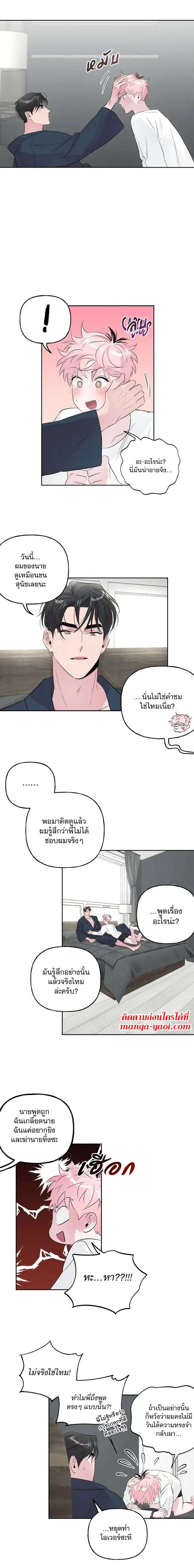 Assorted Wildness ตอนที่ 21 หน้า 3