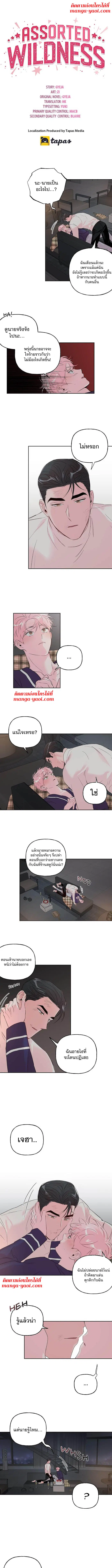 Assorted Wildness ตอนที่ 38 หน้า 1