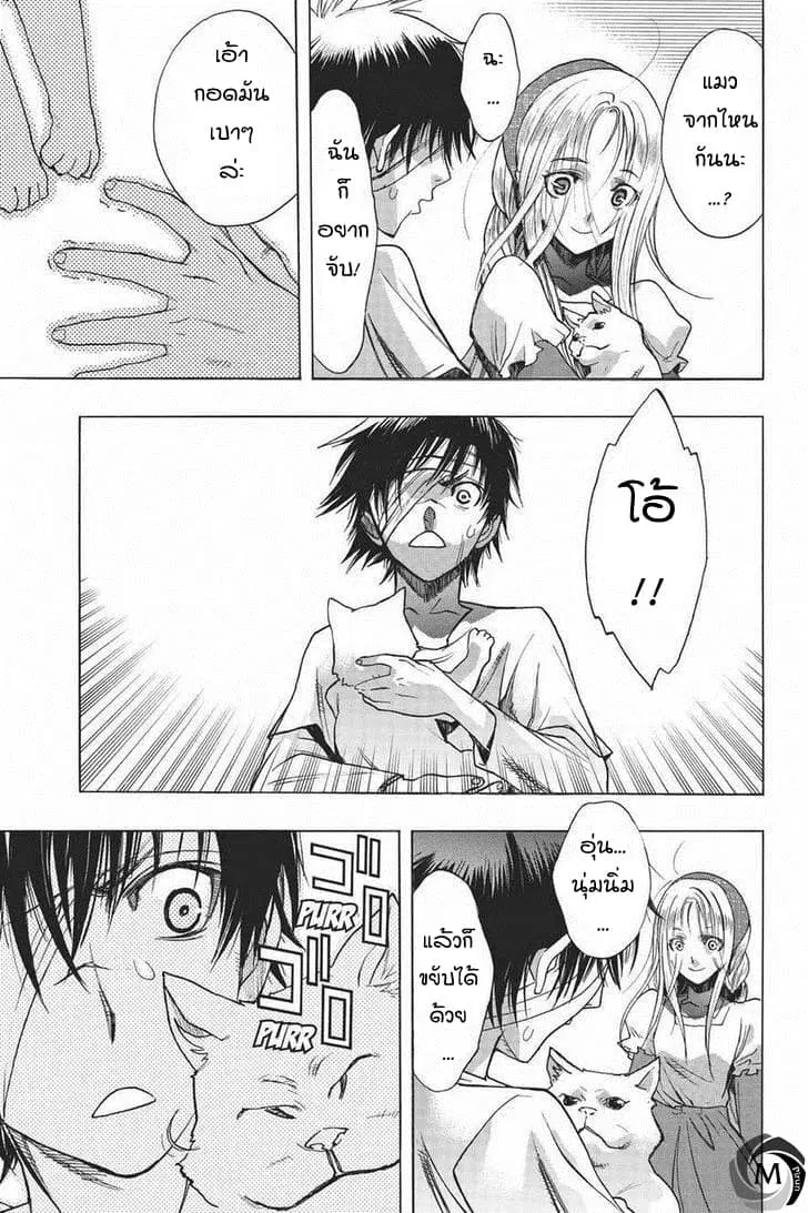 Attack on Titan – Before the Fall ตอนที่ 13.5 หน้า 3