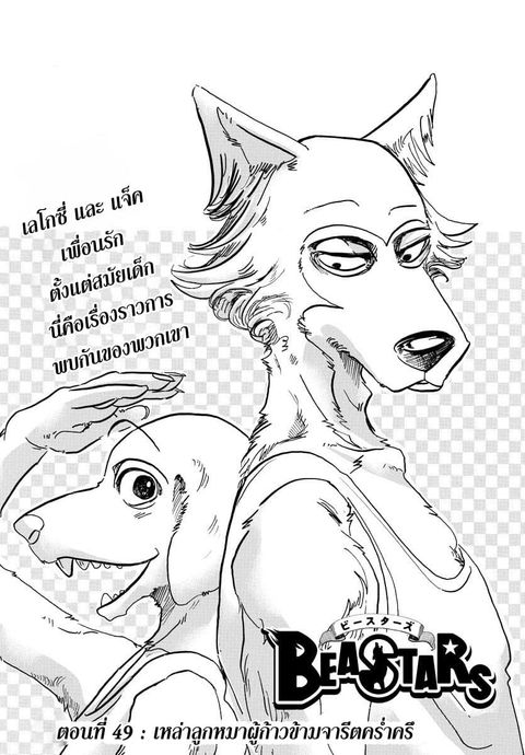 Beastars ตอนที่ 49 หน้า 1