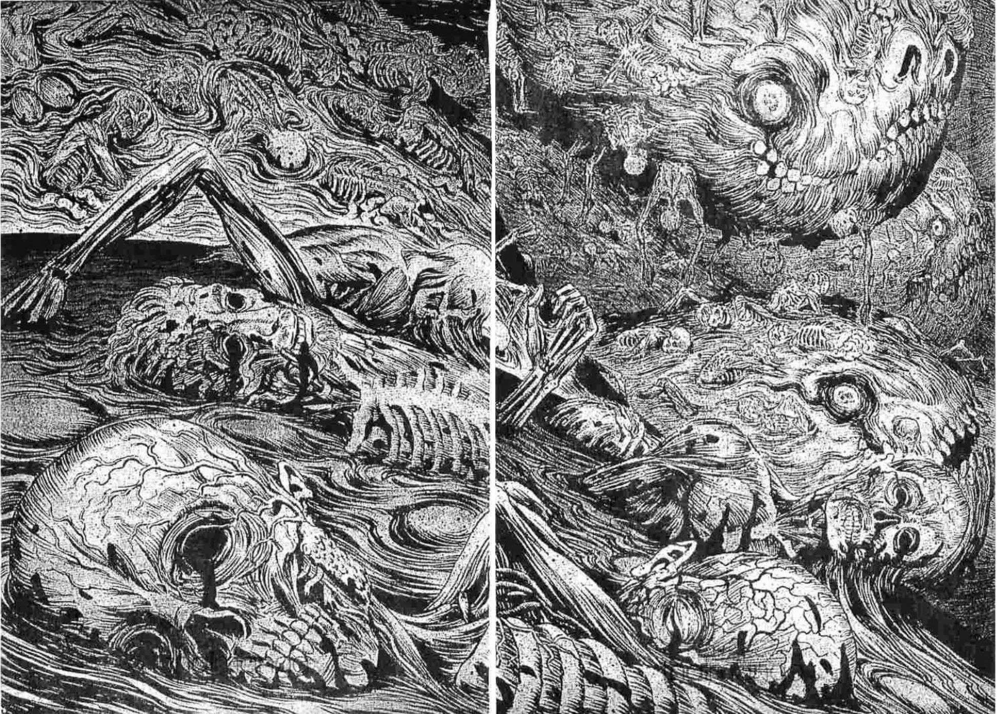 Berserk ตอนที่ 184 หน้า 3
