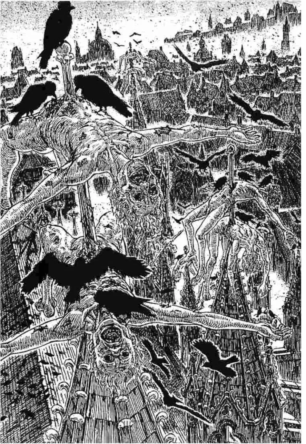 Berserk ตอนที่ 238 หน้า 3