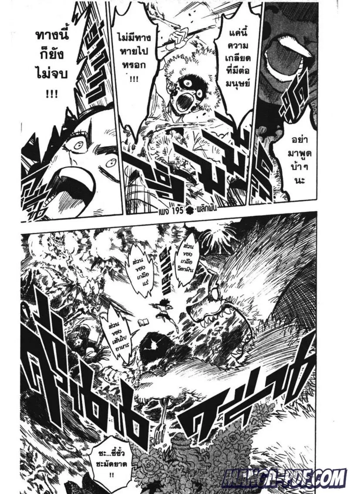 Black Clover ตอนที่ 195 หน้า 1