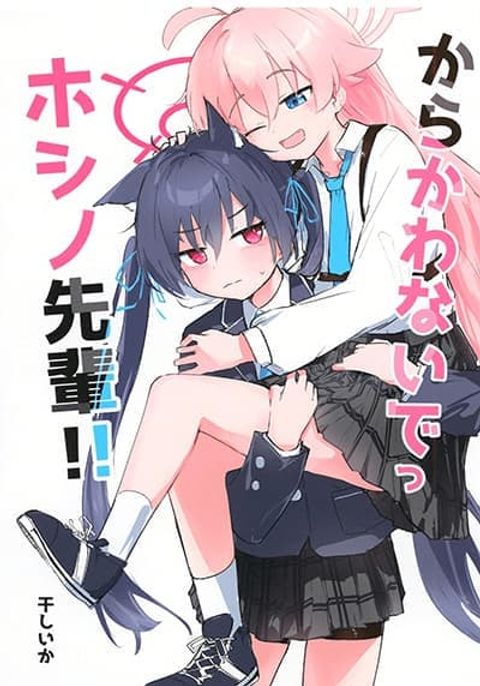 ปก Blue Archive Karakawanaide Hoshino-senpai By Ikafriiiii มังงะญี่ปุ่น แปลไทย