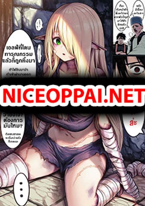 ปก Boroboro no Elf-san o shiawaseni suru kusuri uri-san มังงะญี่ปุ่น แปลไทย