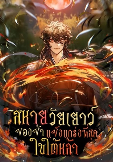 ปก Childhood Friend of the Zenith สหายวัยเยาว์ของข้าแข็งแกร่งที่สุดในใต้ห มังงะเกาหลี แปลไทย