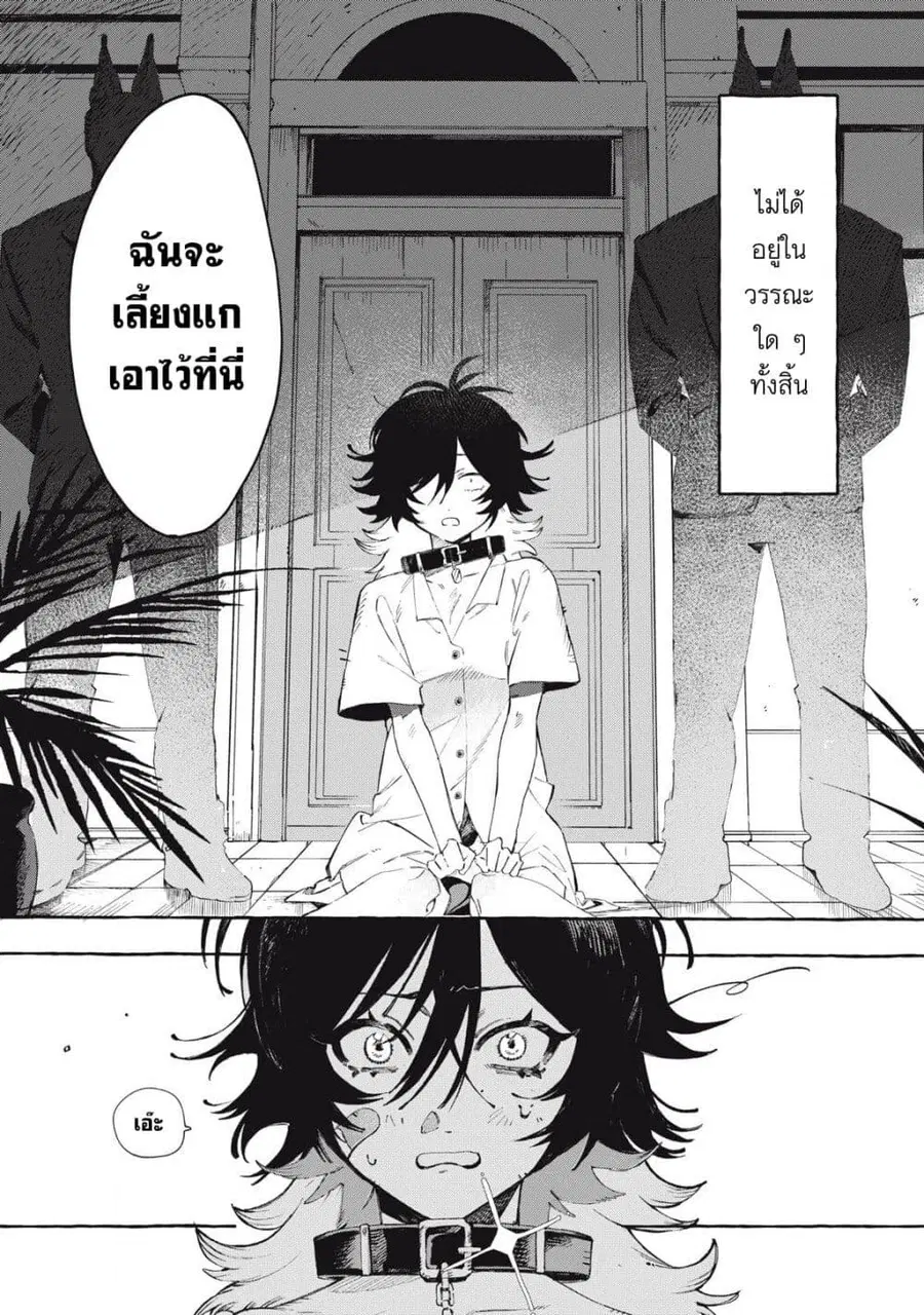 Dog Matic ตอนที่ 1 หน้า 2