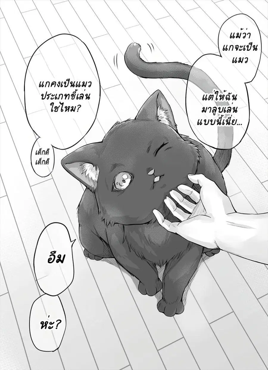 Dokusen Yoku ga Tsuyo Sugiru Yandere Kai Neko-chan ตอนที่ 2 หน้า 1