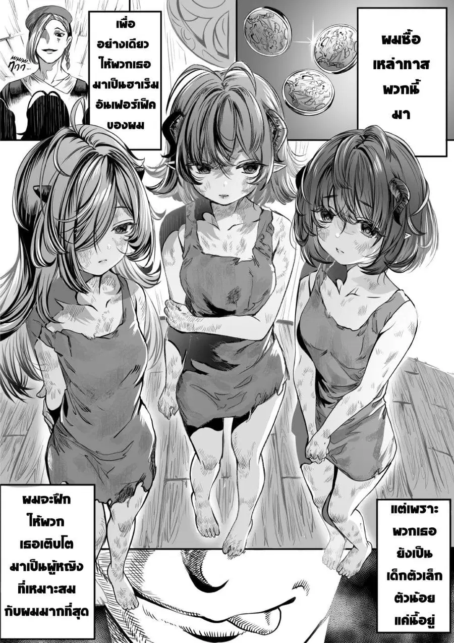 Dorei wo Choukyoushite Harem Tsukuru ตอนที่ 1 หน้า 1