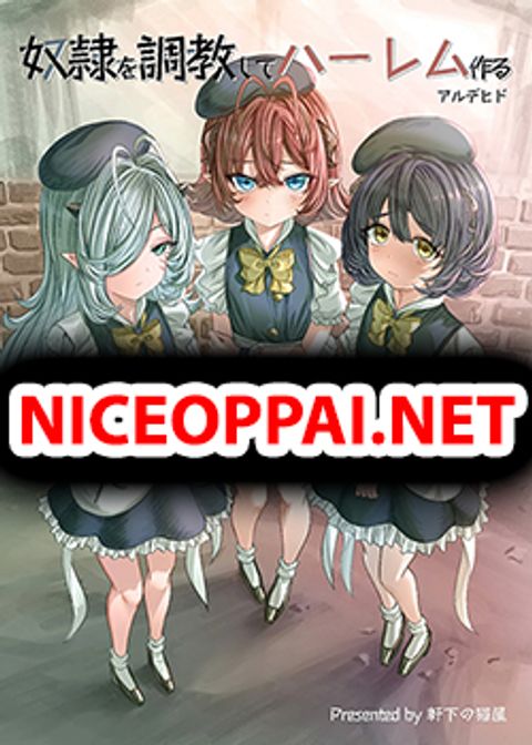 ปก Dorei wo Choukyoushite Harem Tsukuru มังงะญี่ปุ่น แปลไทย
