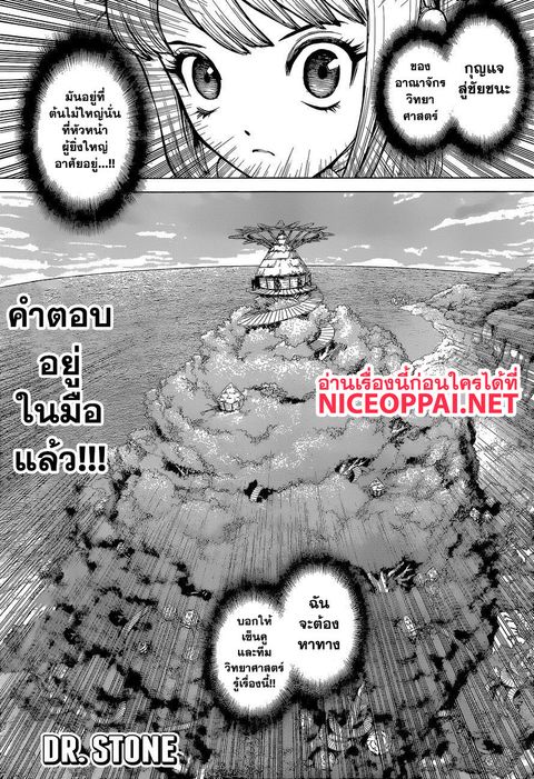 Dr. Stone ตอนที่ 113 หน้า 2