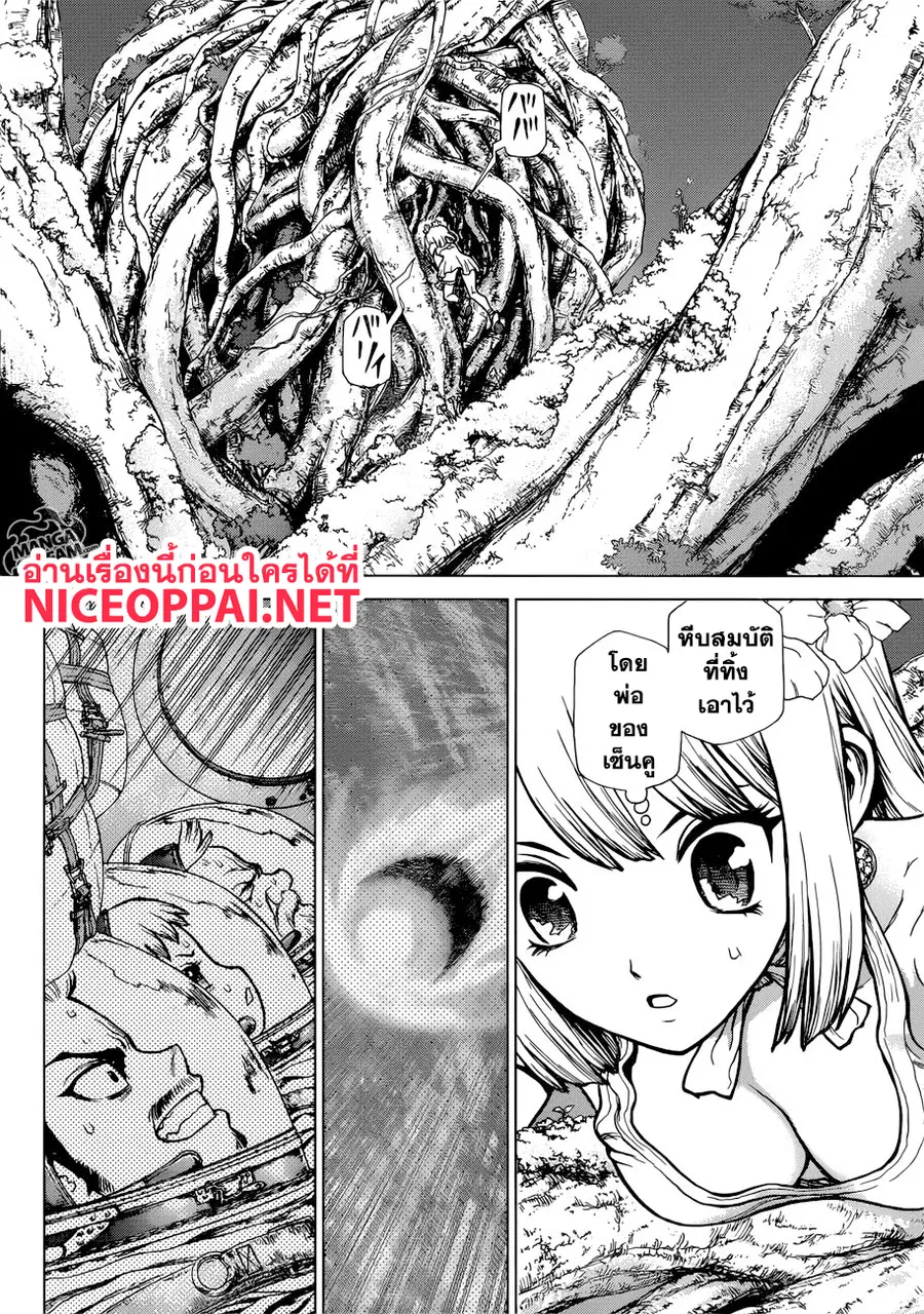 Dr. Stone ตอนที่ 114 หน้า 3