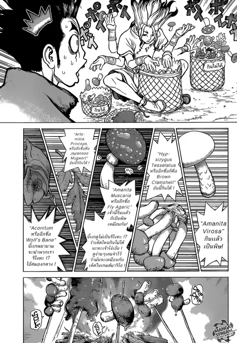 Dr. Stone ตอนที่ 2 หน้า 3