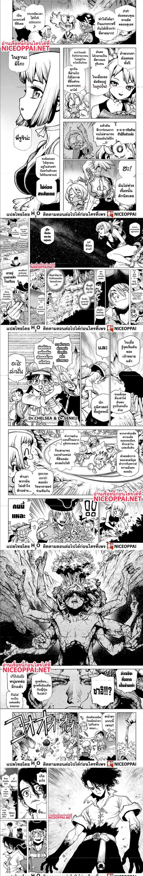 Dr. Stone ตอนที่ 204 หน้า 3