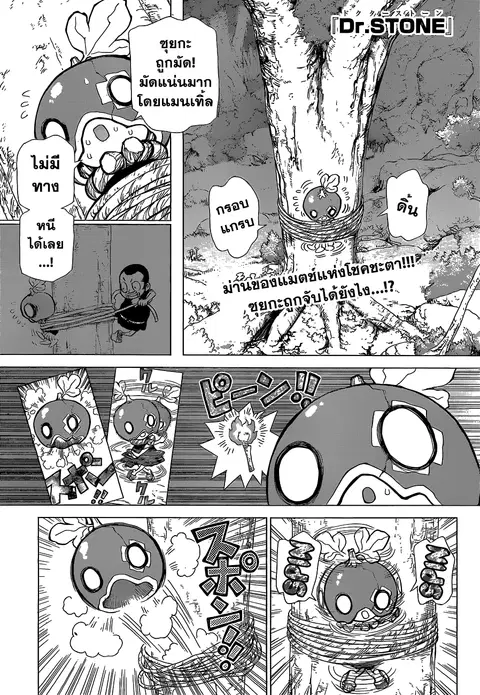 Dr. Stone ตอนที่ 35 หน้า 1