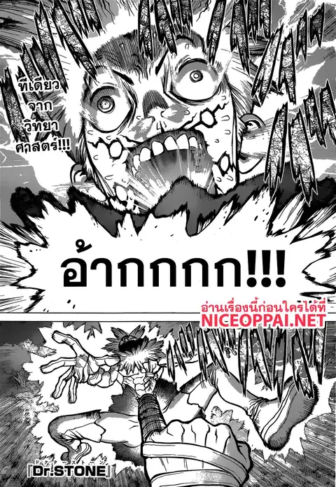 Dr. Stone ตอนที่ 82 หน้า 1