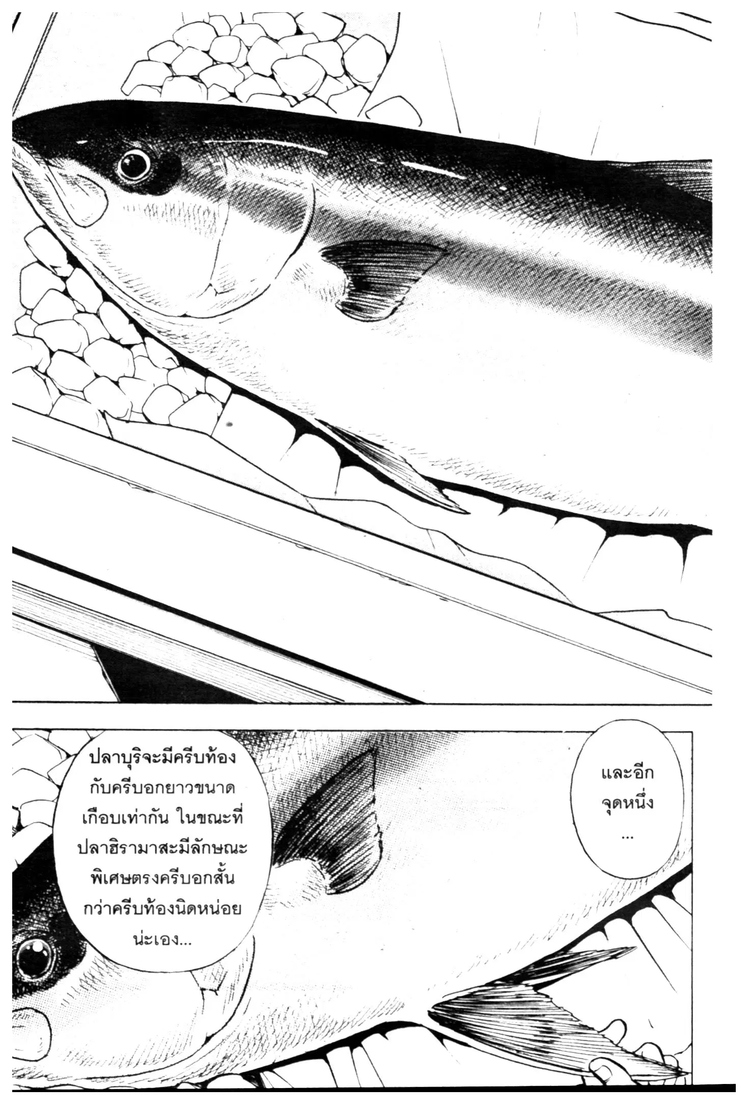 Edomae no Shun ตอนที่ 670 หน้า 2