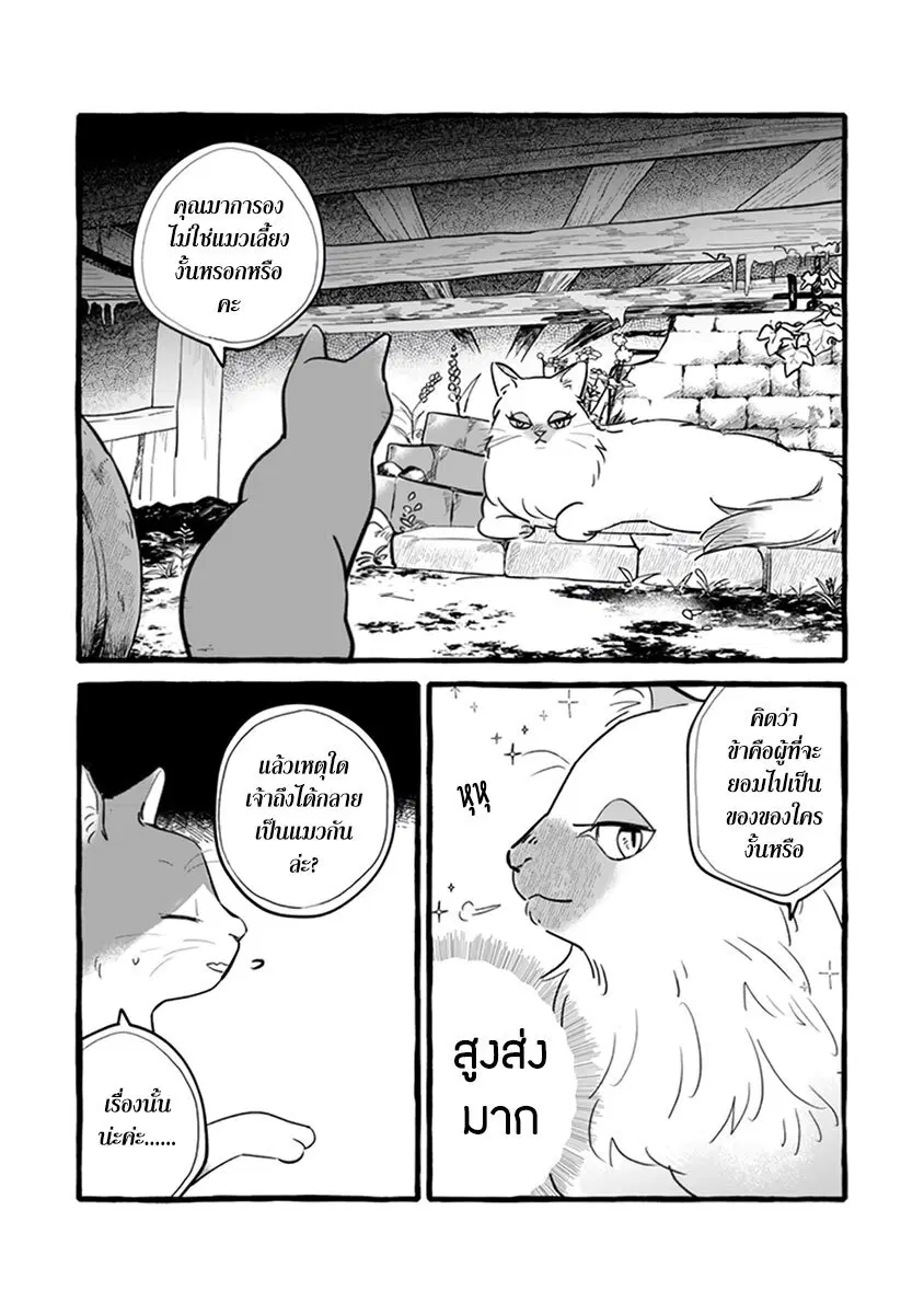 Einen Koyou wa Kanou Deshou ka ~Buaisou Mukuchi na Mahou Tsukai to Hajimeru Sai Shuushoku Life~ ตอนที่ 11 หน้า 2