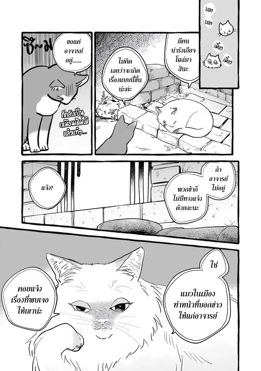 Einen Koyou wa Kanou Deshou ka ~Buaisou Mukuchi na Mahou Tsukai to Hajimeru Sai Shuushoku Life~ ตอนที่ 11 หน้า 3