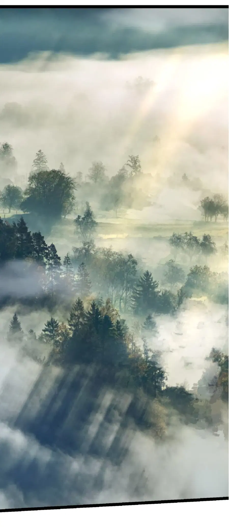 Evolution Begins With A Big Tree ตอนที่ 19 หน้า 2