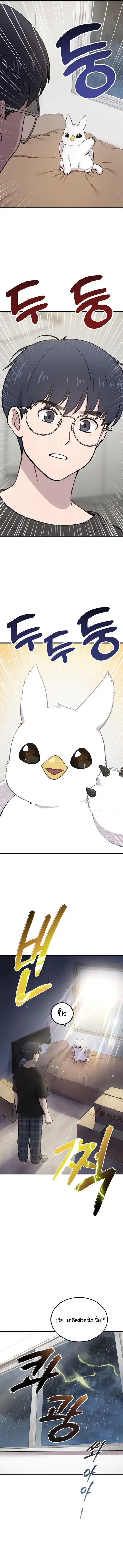 Hello, Griffin the Fluffy Tit! เฮลโหลกริฟฟิน! ตอนที่ 1 หน้า 3