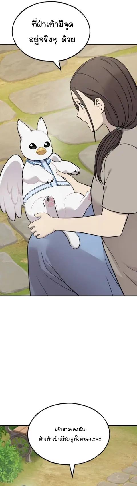 Hello, Griffin the Fluffy Tit! เฮลโหลกริฟฟิน! ตอนที่ 21 หน้า 3