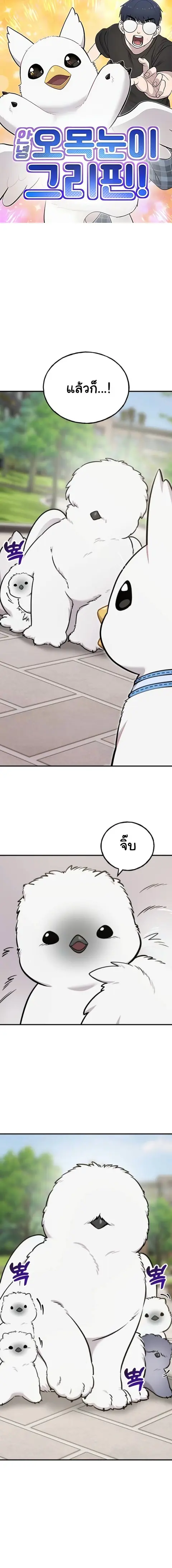 Hello, Griffin the Fluffy Tit! เฮลโหลกริฟฟิน! ตอนที่ 33 หน้า 1