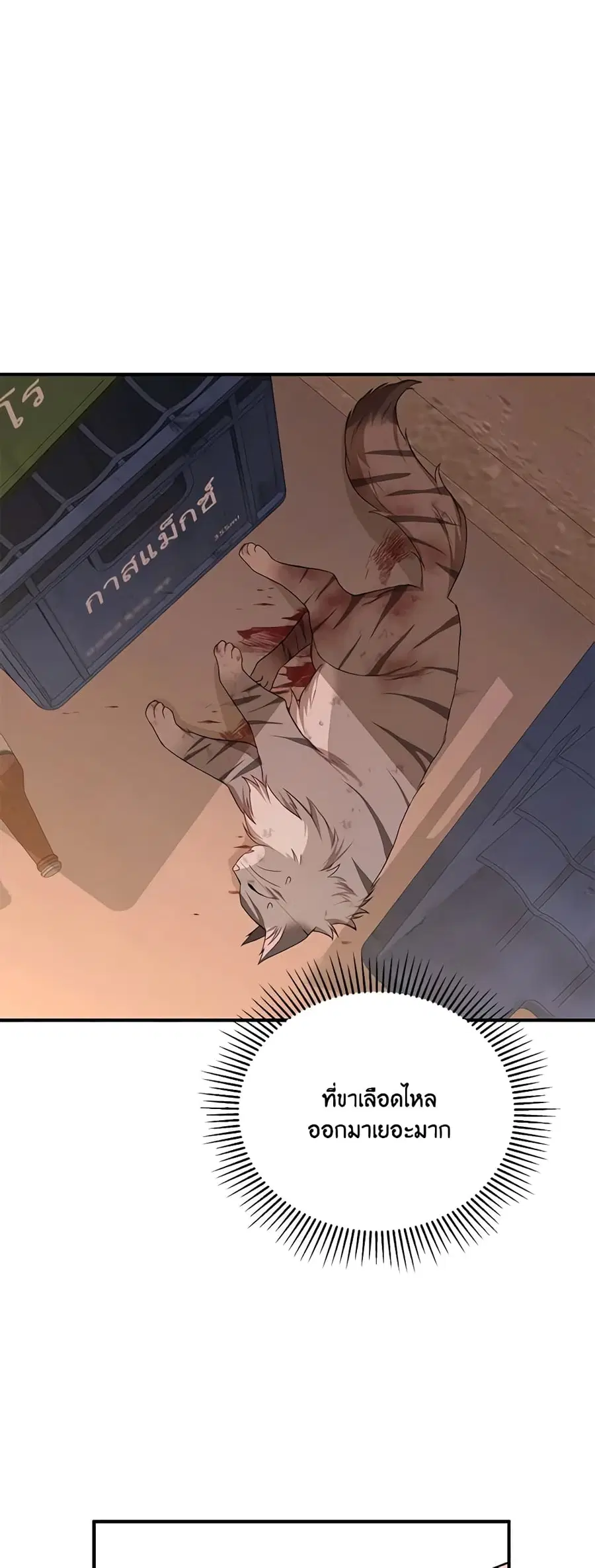 Hello! Veterinarian! ตอนที่ 13 หน้า 2
