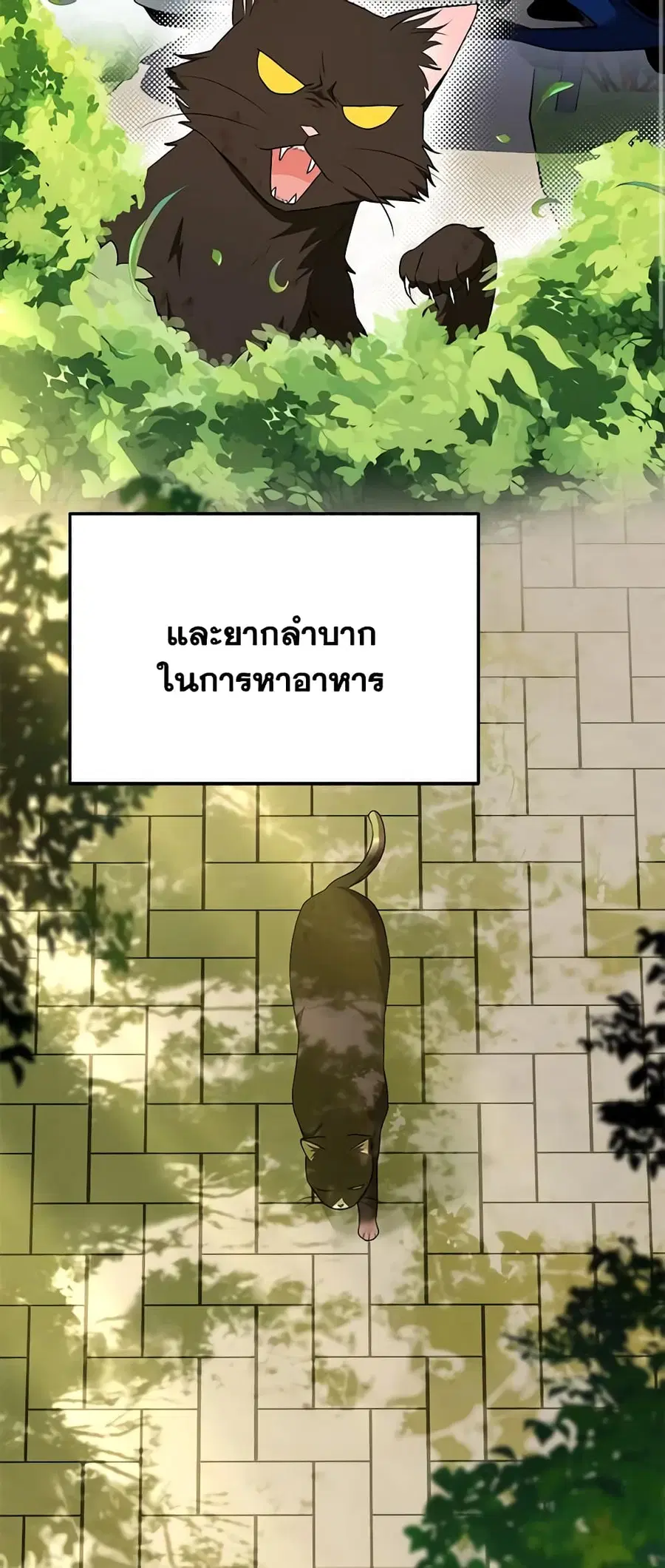 Hello! Veterinarian! ตอนที่ 27 หน้า 3