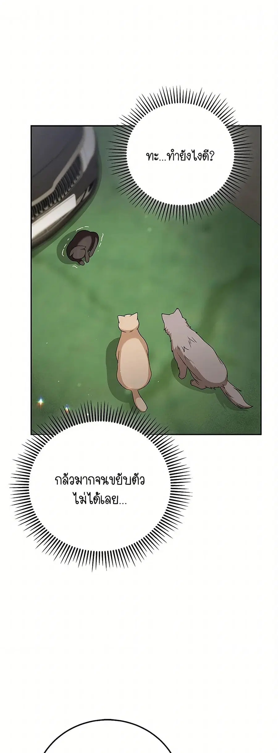 Hello! Veterinarian! ตอนที่ 77 หน้า 2